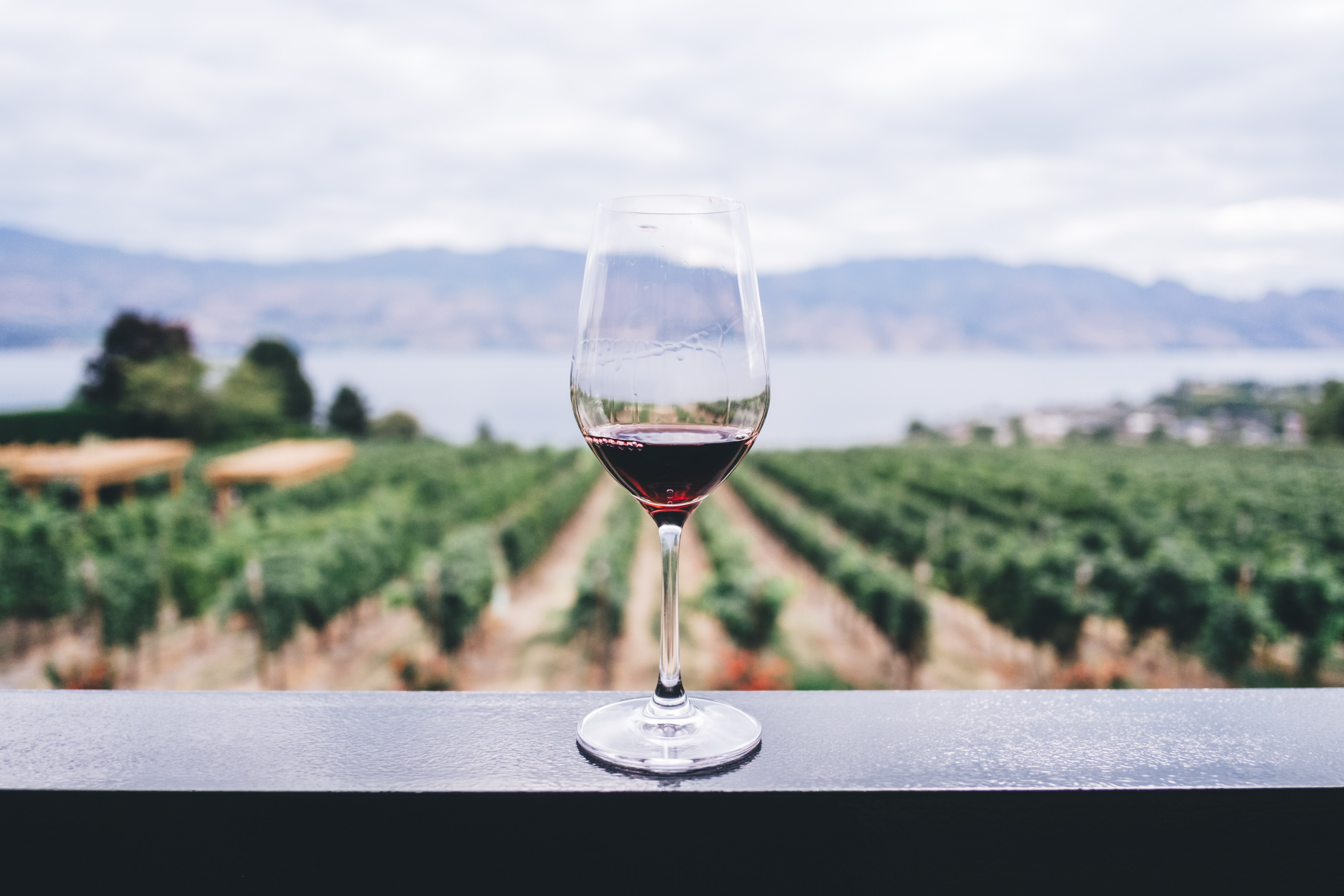 Agile Digital - Wine Industry Partner